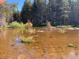 Van Norden Meadow